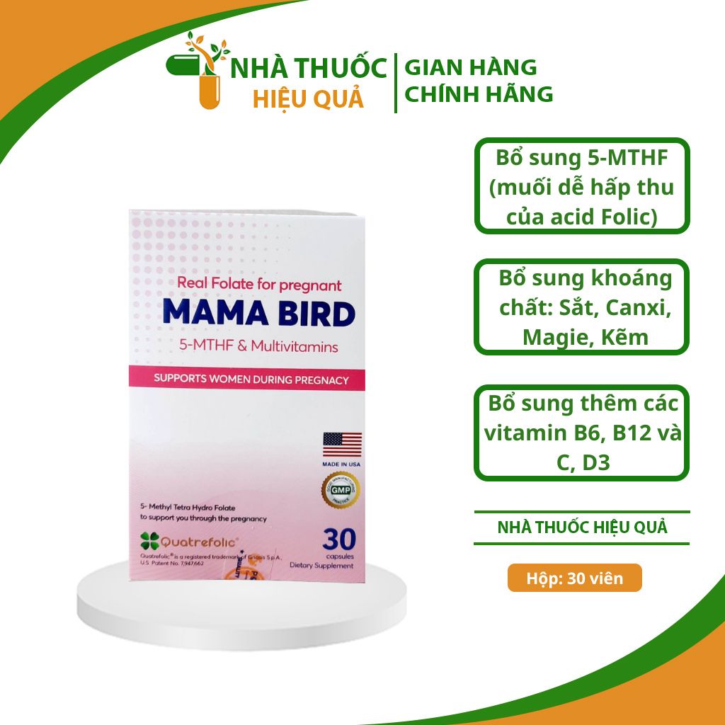 vien-uong-bo-trung-mama-bird-2