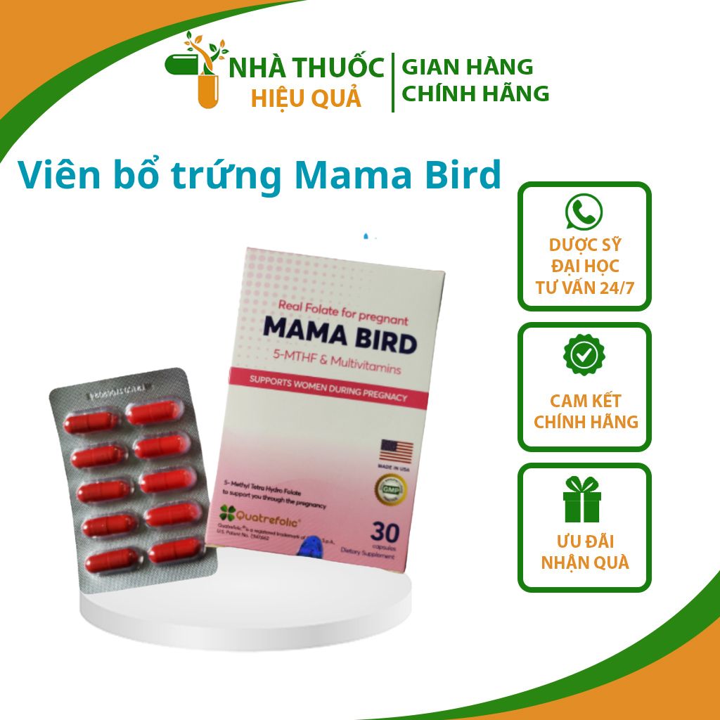 vien-uong-bo-trung-mama-bird-4